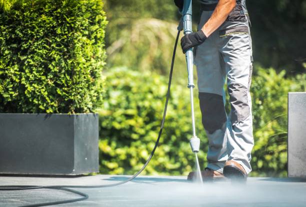 Best Driveway Pressure Washing  in Hahira, GA