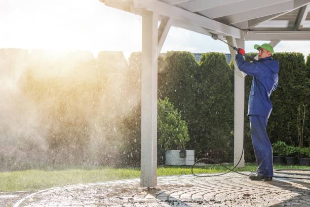 Best Roof Washing  in Hahira, GA